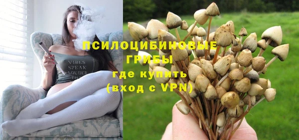 кристаллы Вяземский